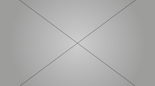 Ein schwarzweiss gefleckter Hund spielt mit einem Spieltau